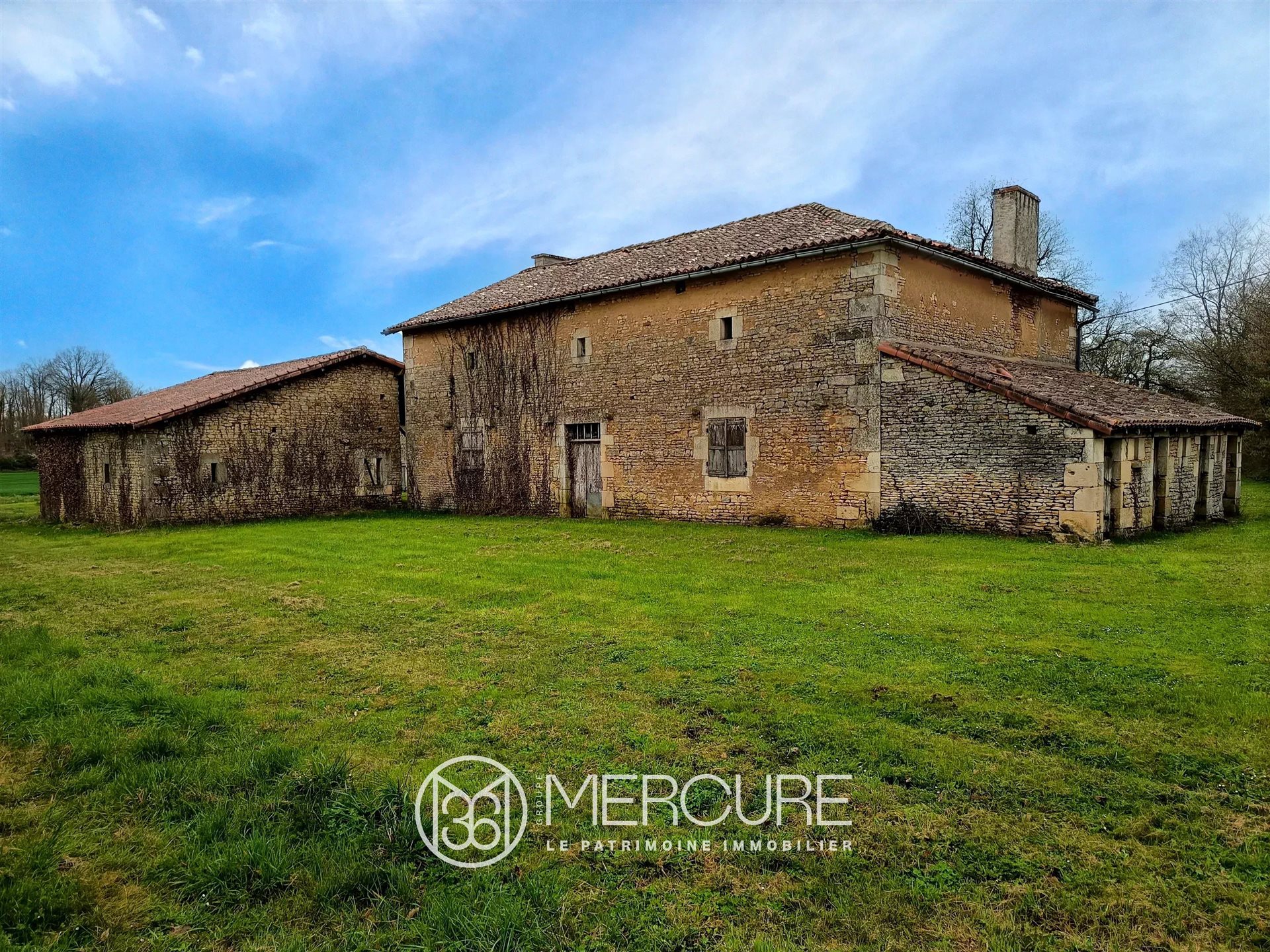Maison à vendre, 270m², Blanzay
