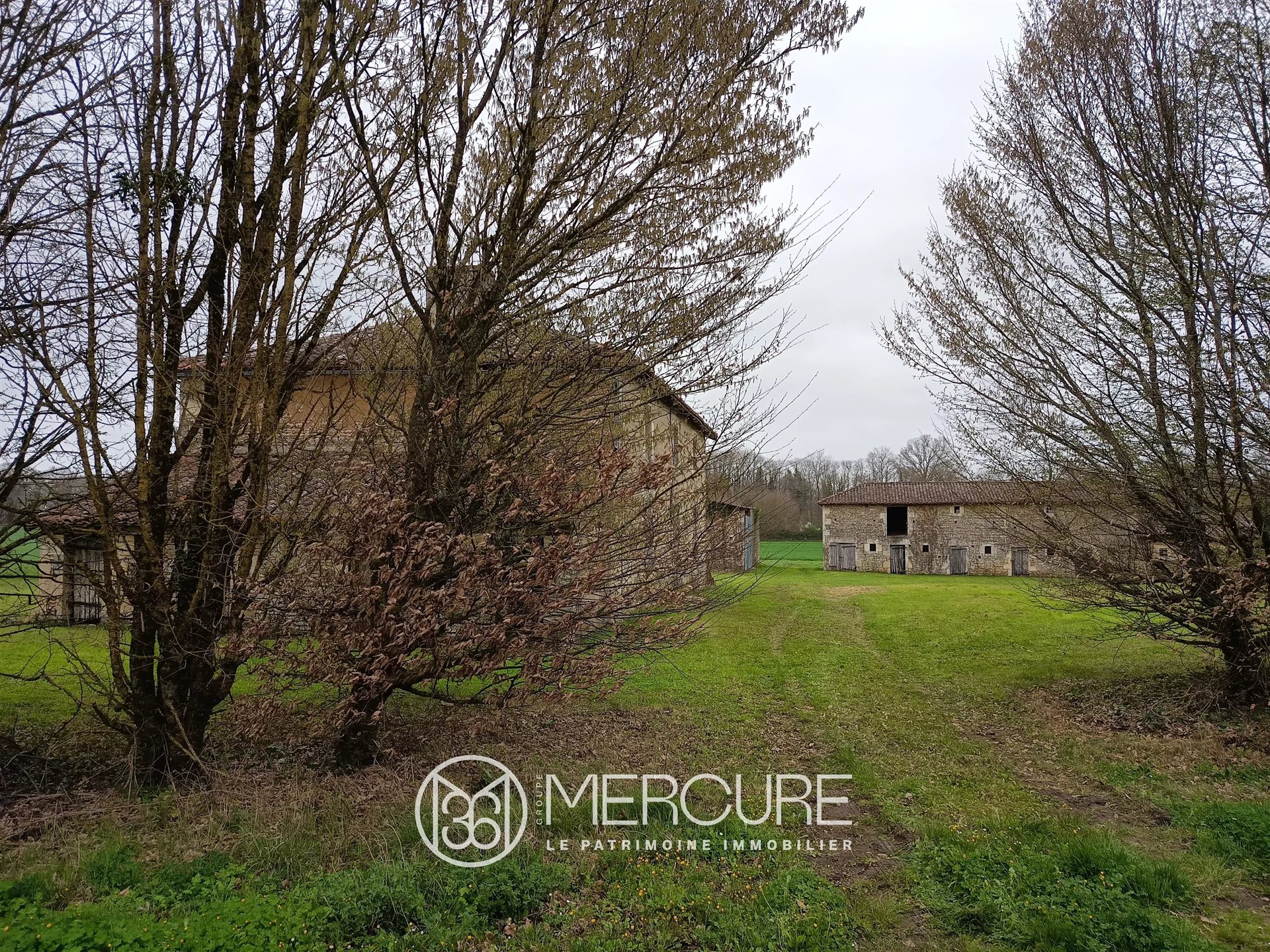 Maison à vendre, 270m², Blanzay
