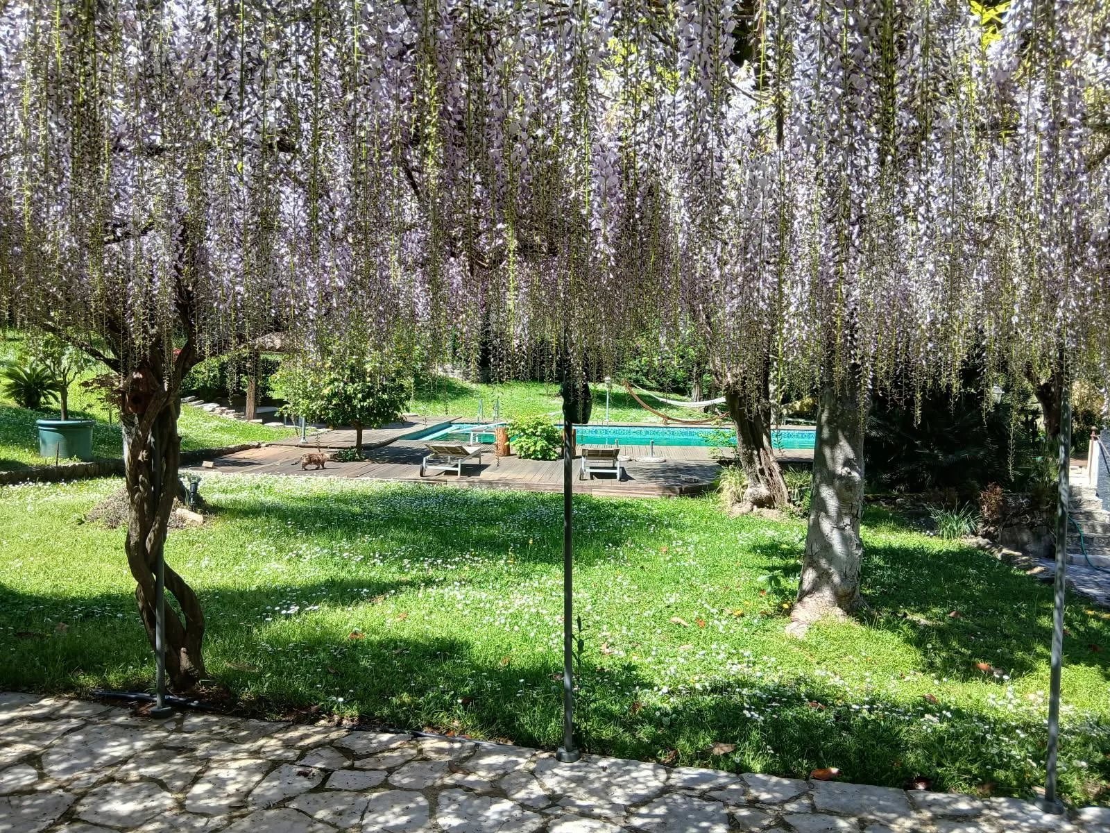 Maison à vendre, 265m², Opio