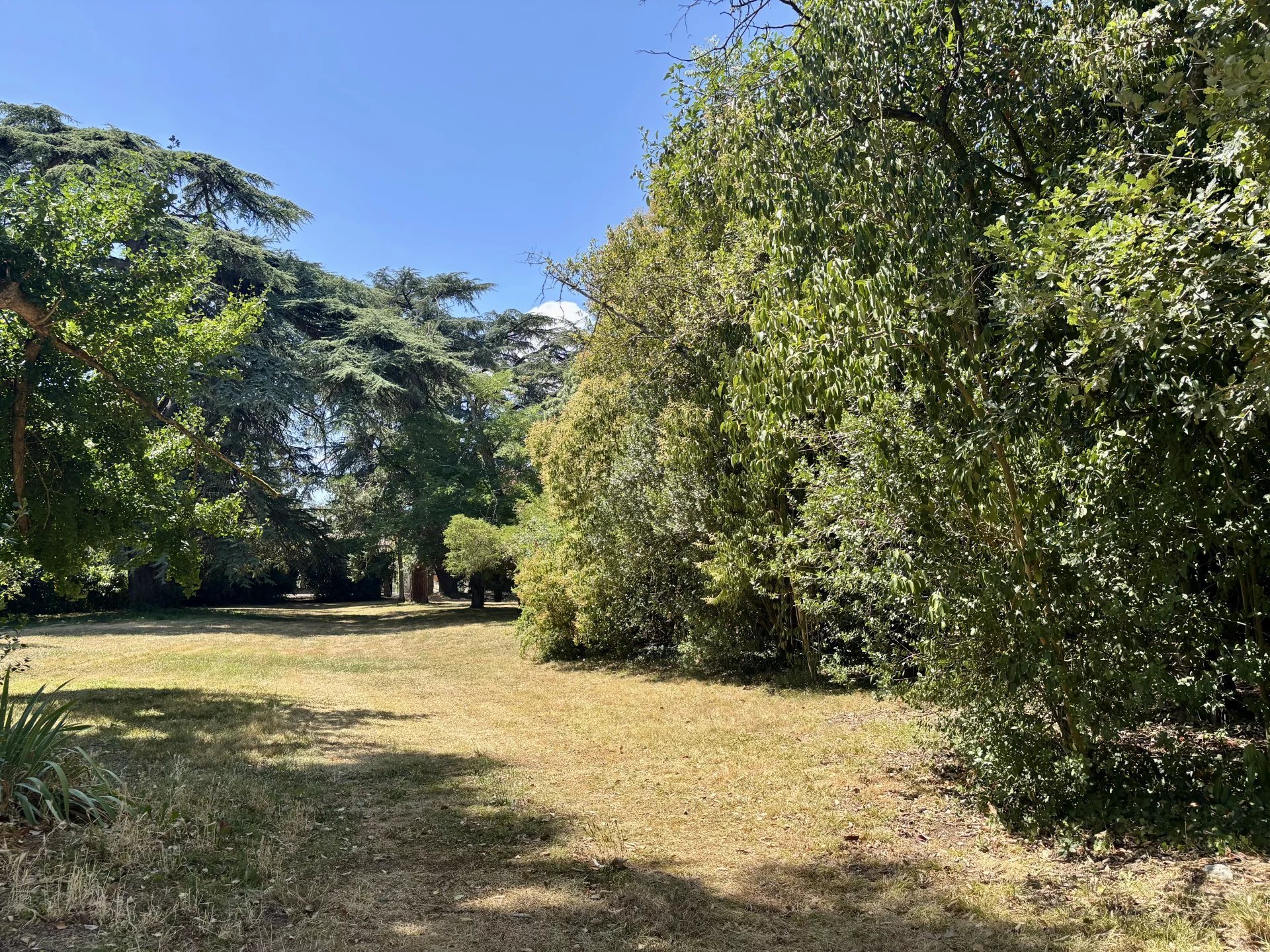 Maison à vendre, 222m², Condom