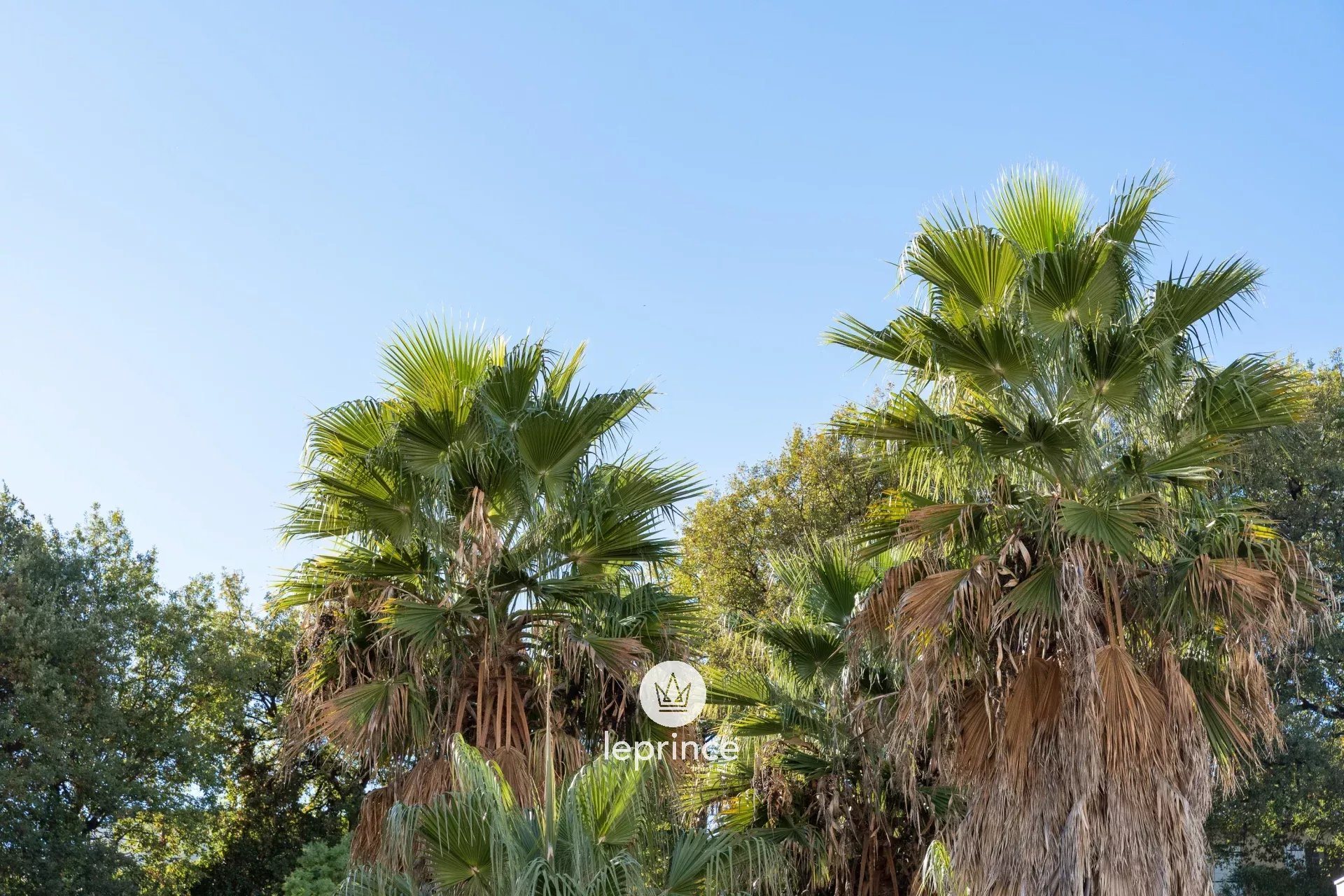 Appartement à vendre, 64m², Cagnes-sur-Mer