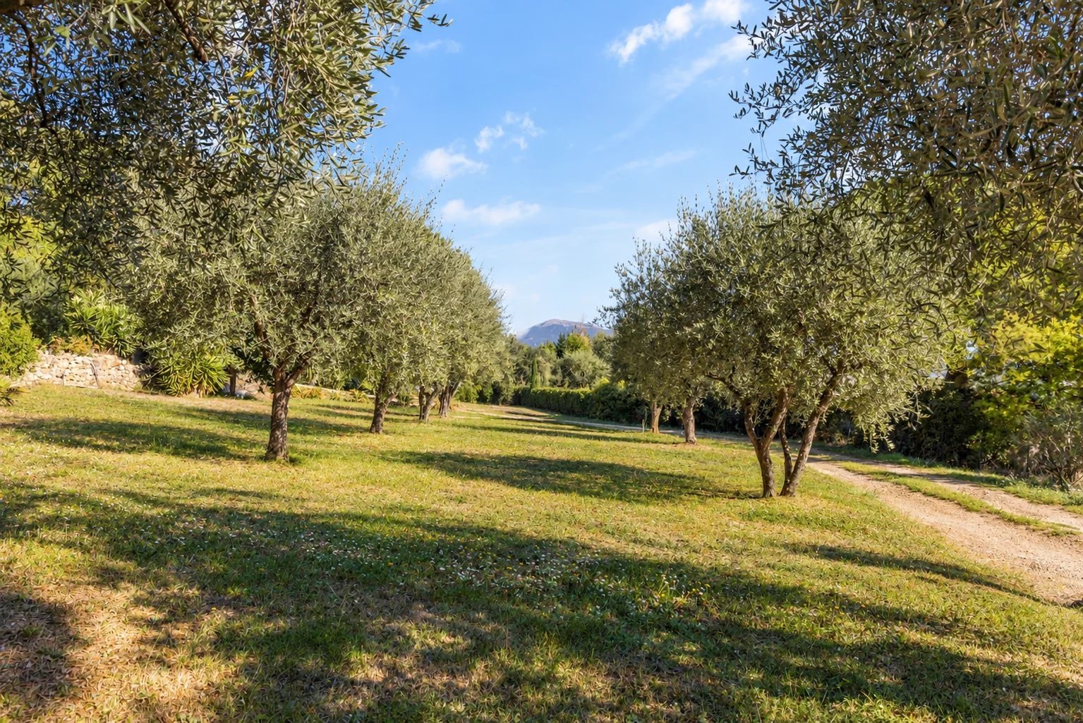 Maison à vendre, 87m², Valbonne