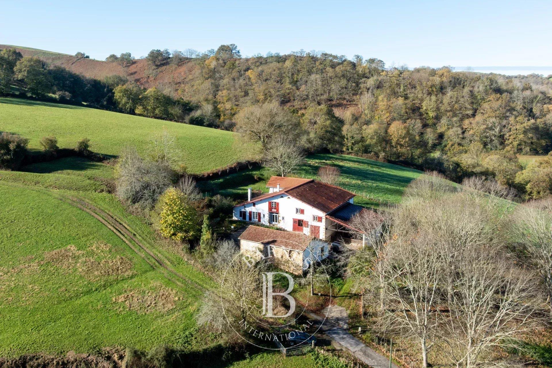 Maison à vendre, 427m², Saint-Palais