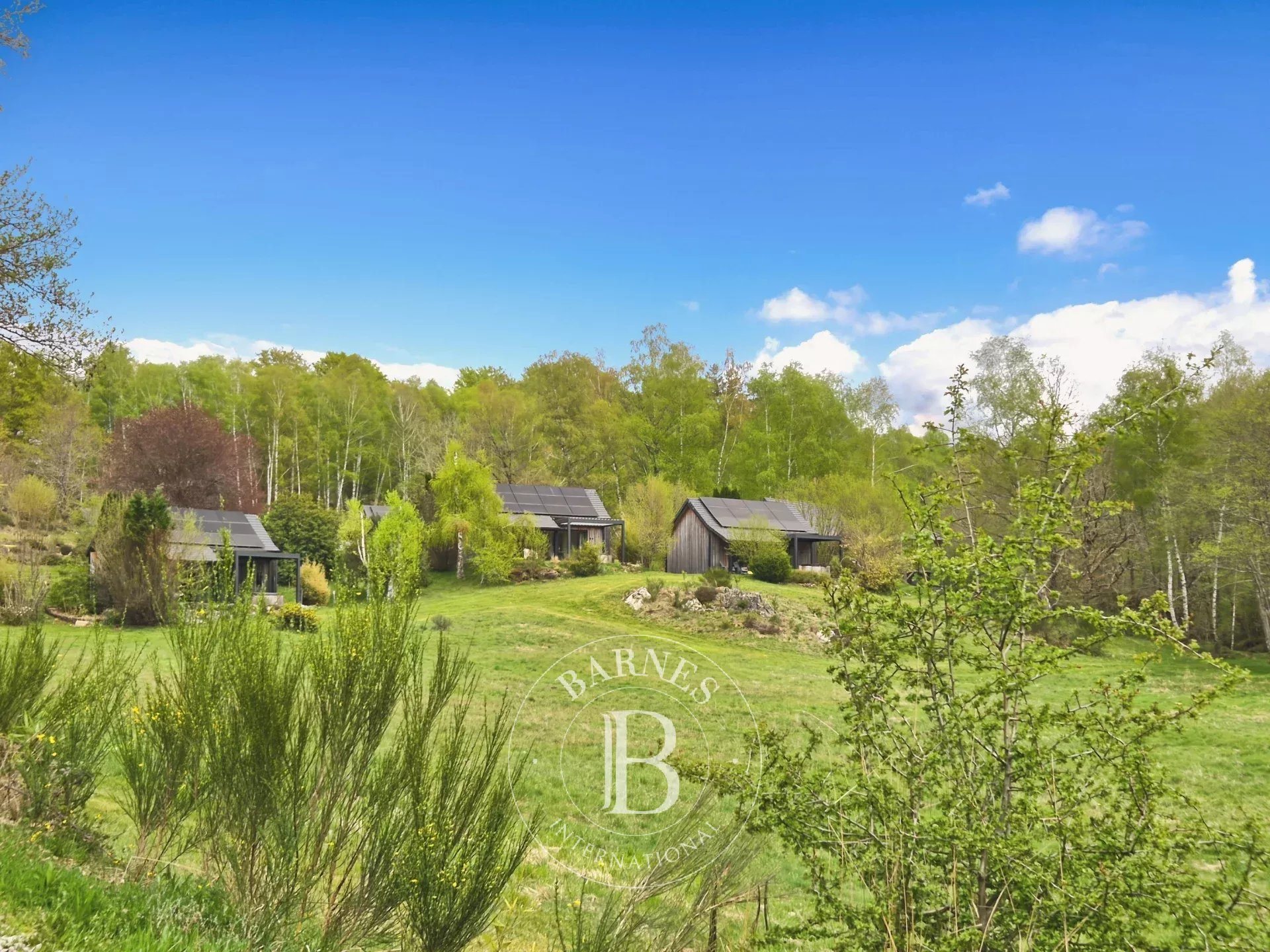 Maison à vendre, 631m², Champs-sur-Tarentaine-Marchal