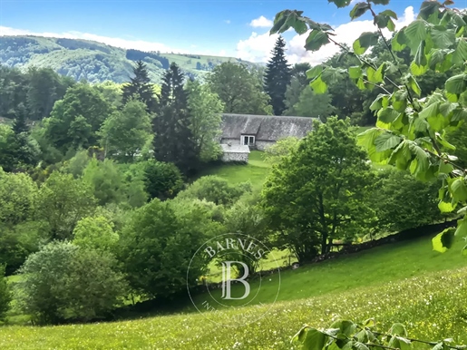 Trémouille 282m²