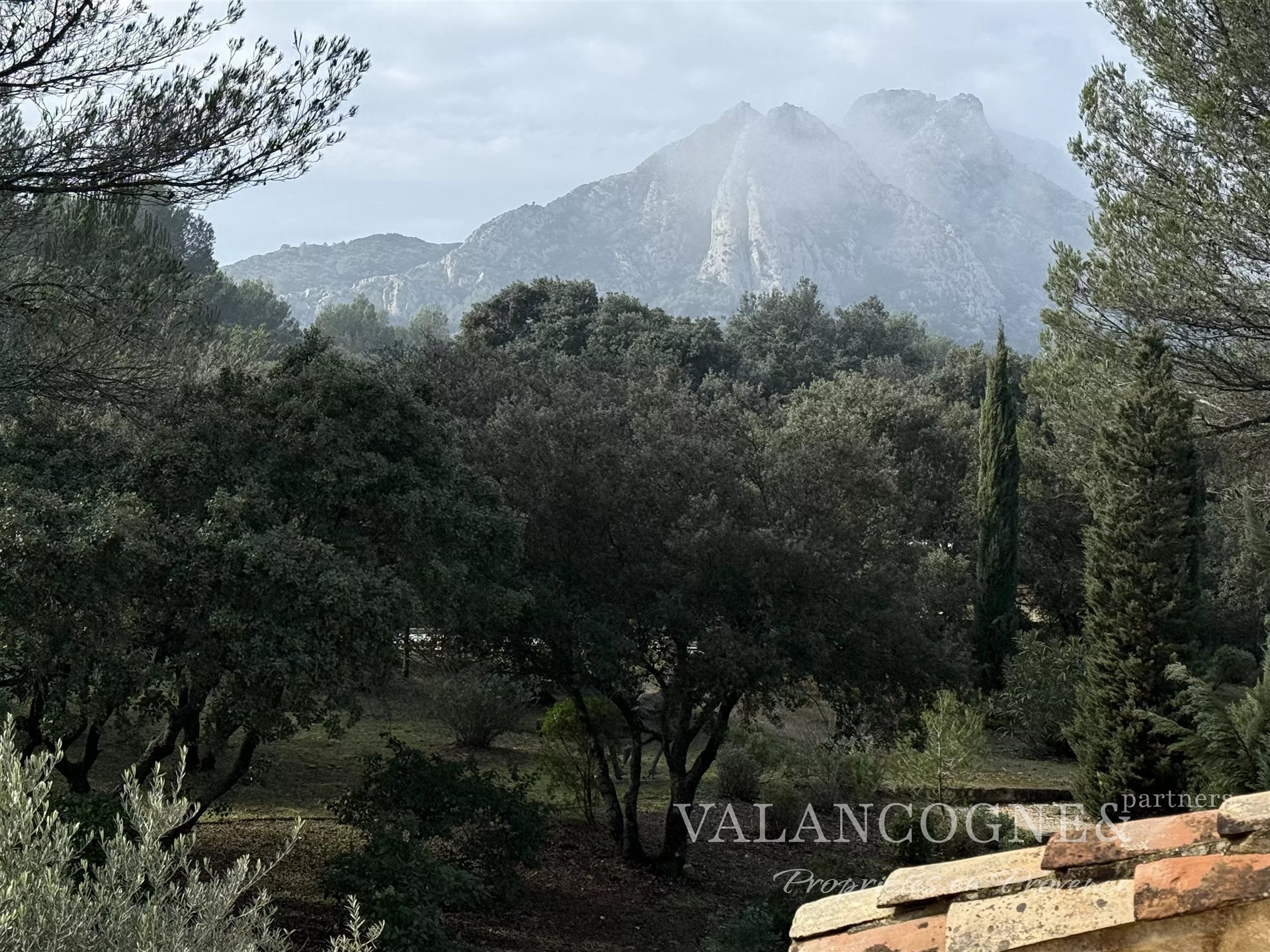 Maison à vendre, 400m², Eygalières