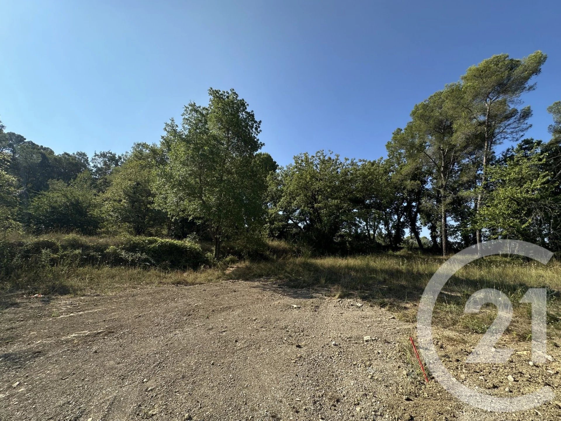 Purchase: Land (06250)