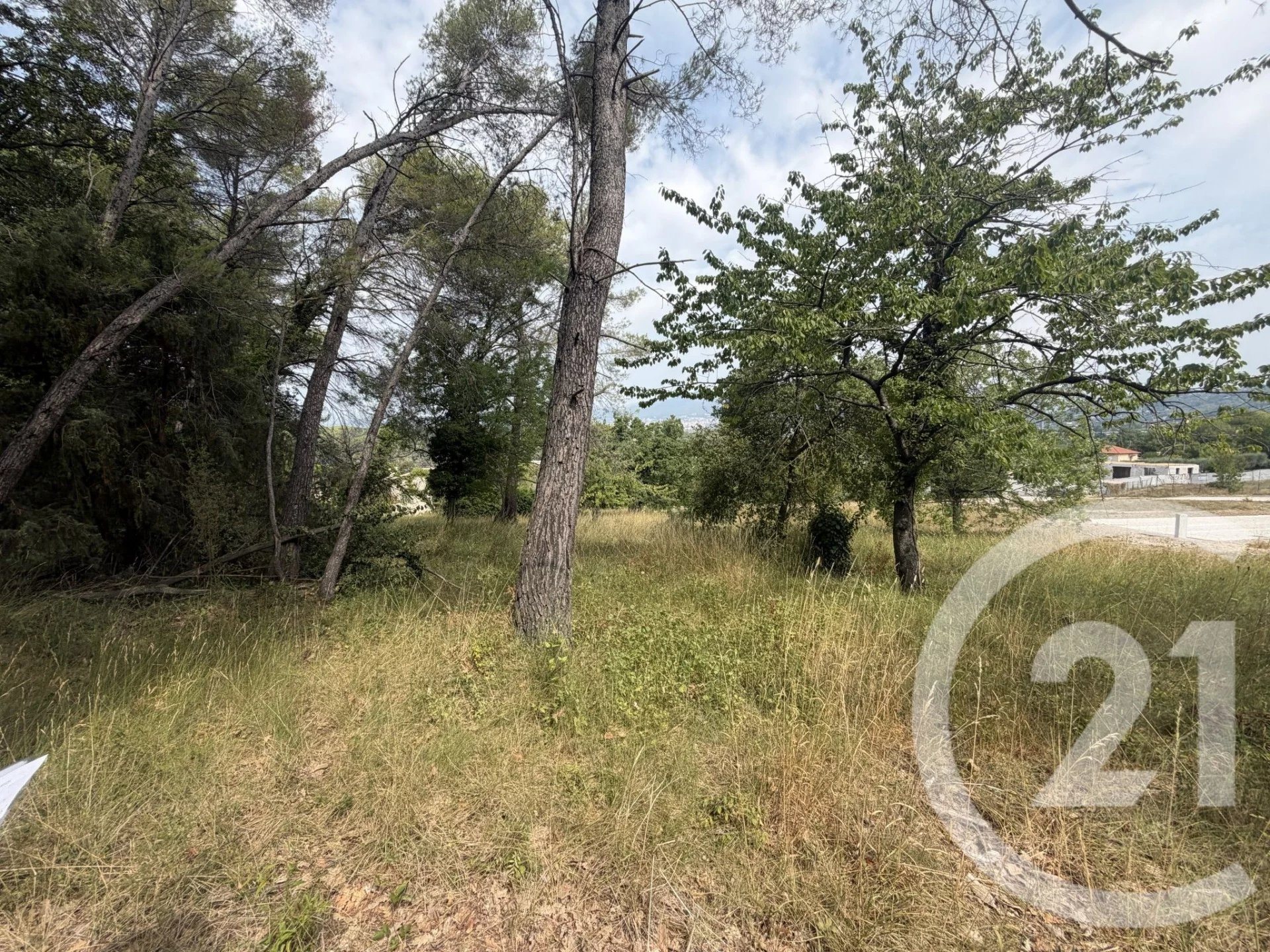 Purchase: Land (06250) - Vue 4