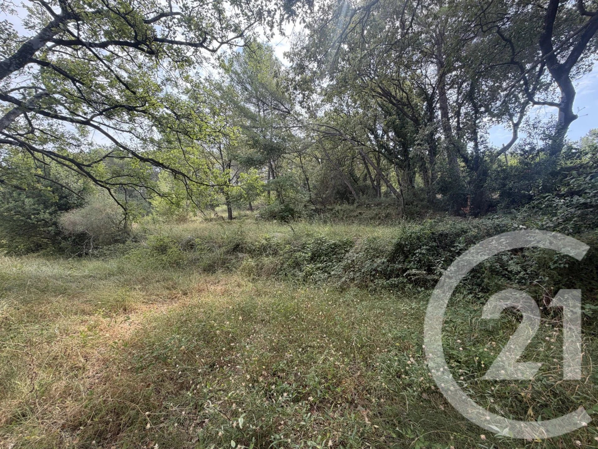 Purchase: Land (06250) - Vue 5