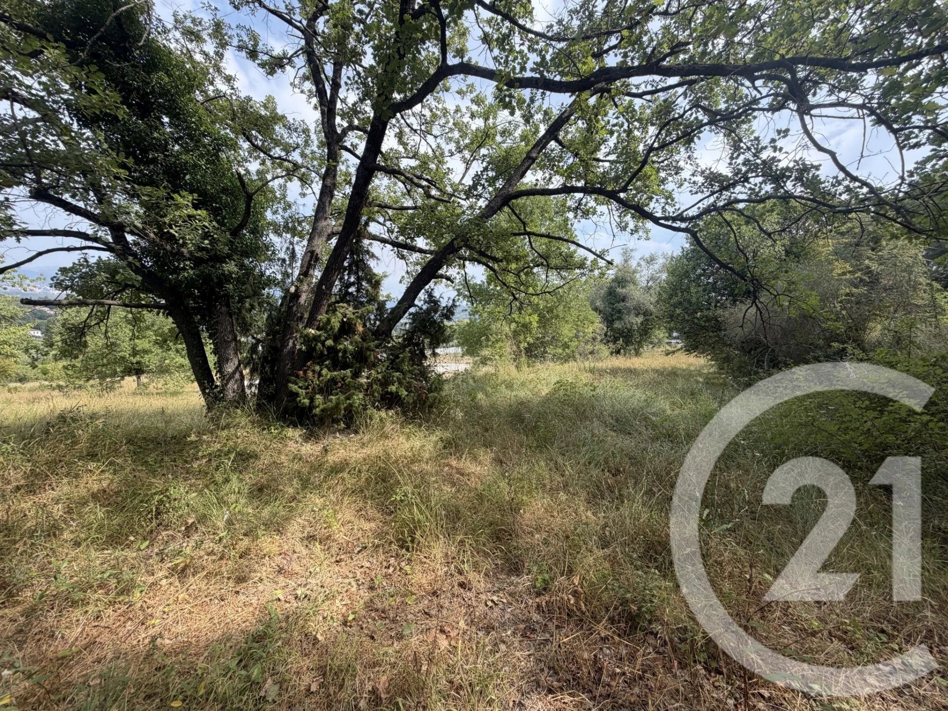 Purchase: Land (06250) - Plus