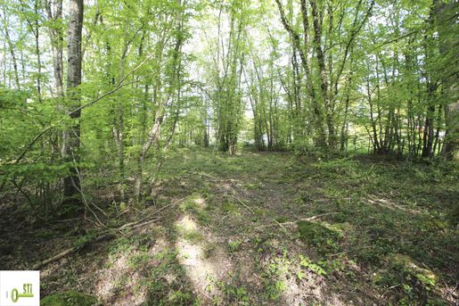 Terrain, terrain 2312 m² — Melleroy (Loiret) · 25 000 €