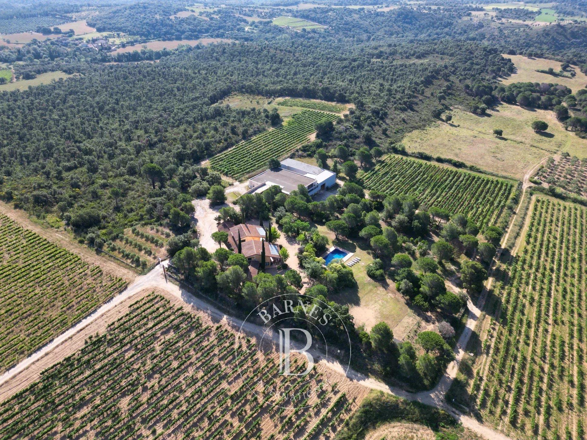 Exclusive Estate with Twin Homes and Wine Cellar Surrounded by 8 Hectares of Vineyards in Alt Empord
