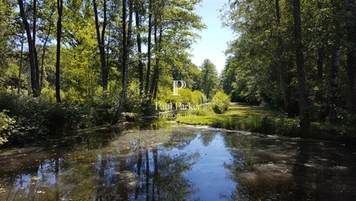 Maison 30 pièces 835 m² · à Argent-sur-Sauldre · 835 m² · 2 014 000 €