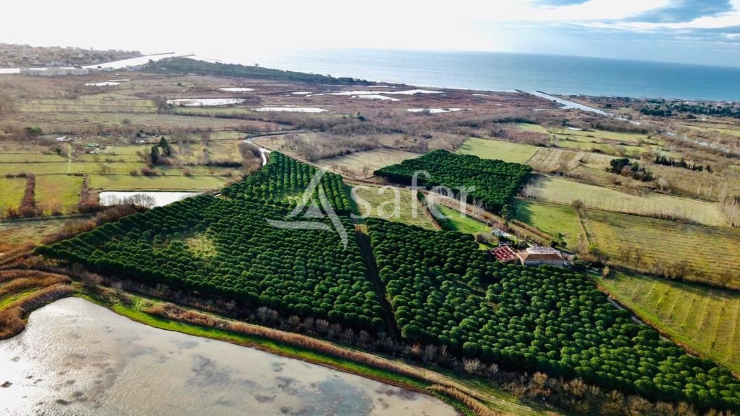Maison à vendre, 271m², Agde (Cap d'Agde)