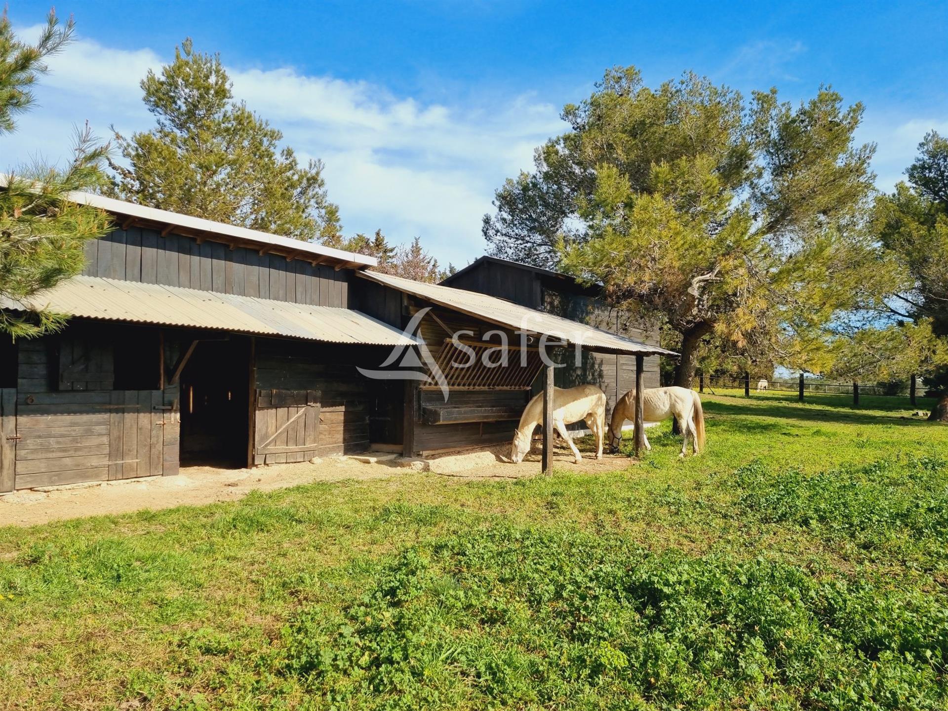 Maison à vendre, 265m², Beaucaire