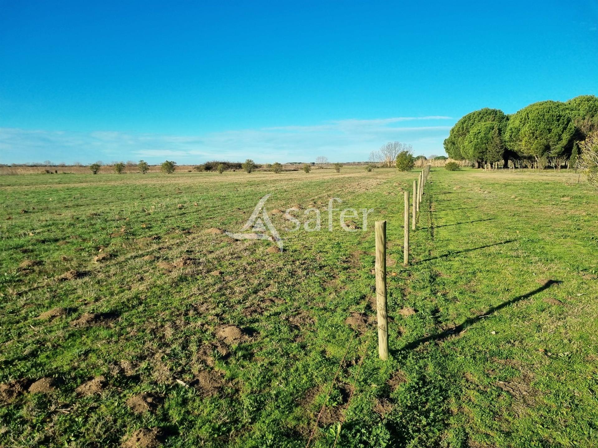 Maison à vendre, 337m², Aigues-Mortes