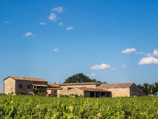 Annonce · à Quissac · 510 m² · 1 495 000 €