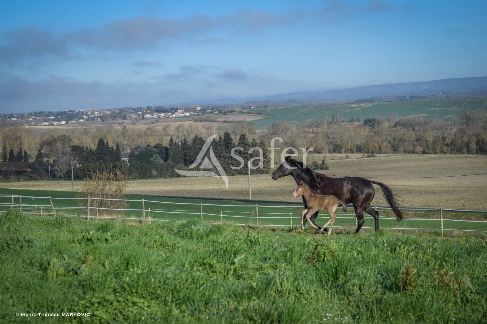Maison à vendre, 275m², Castelnaudary