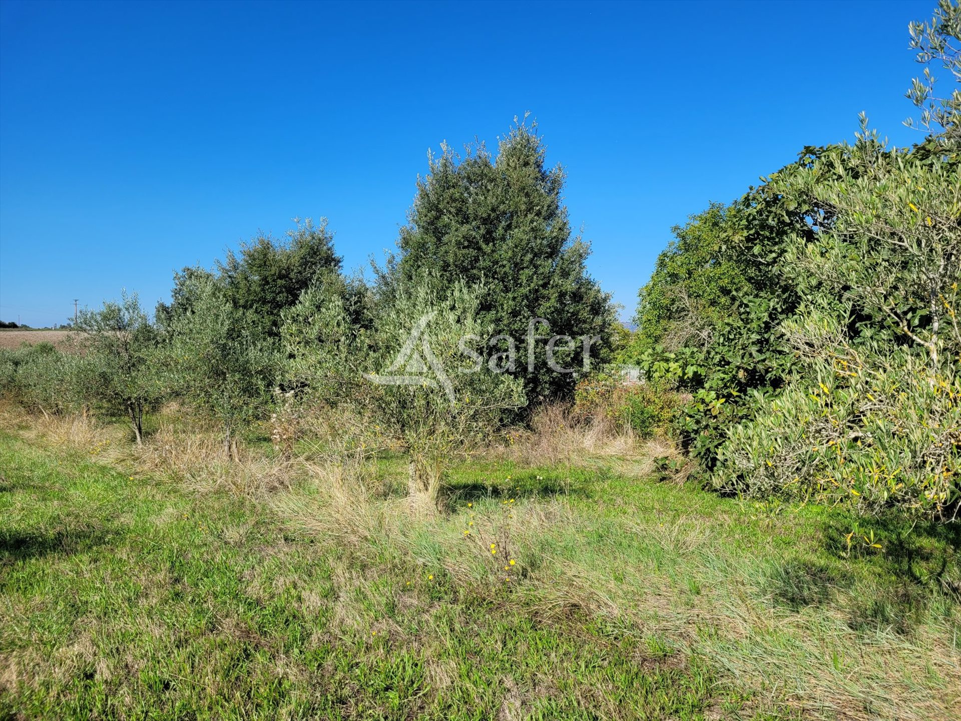 Maison à vendre, 457m², Cordes-sur-Ciel