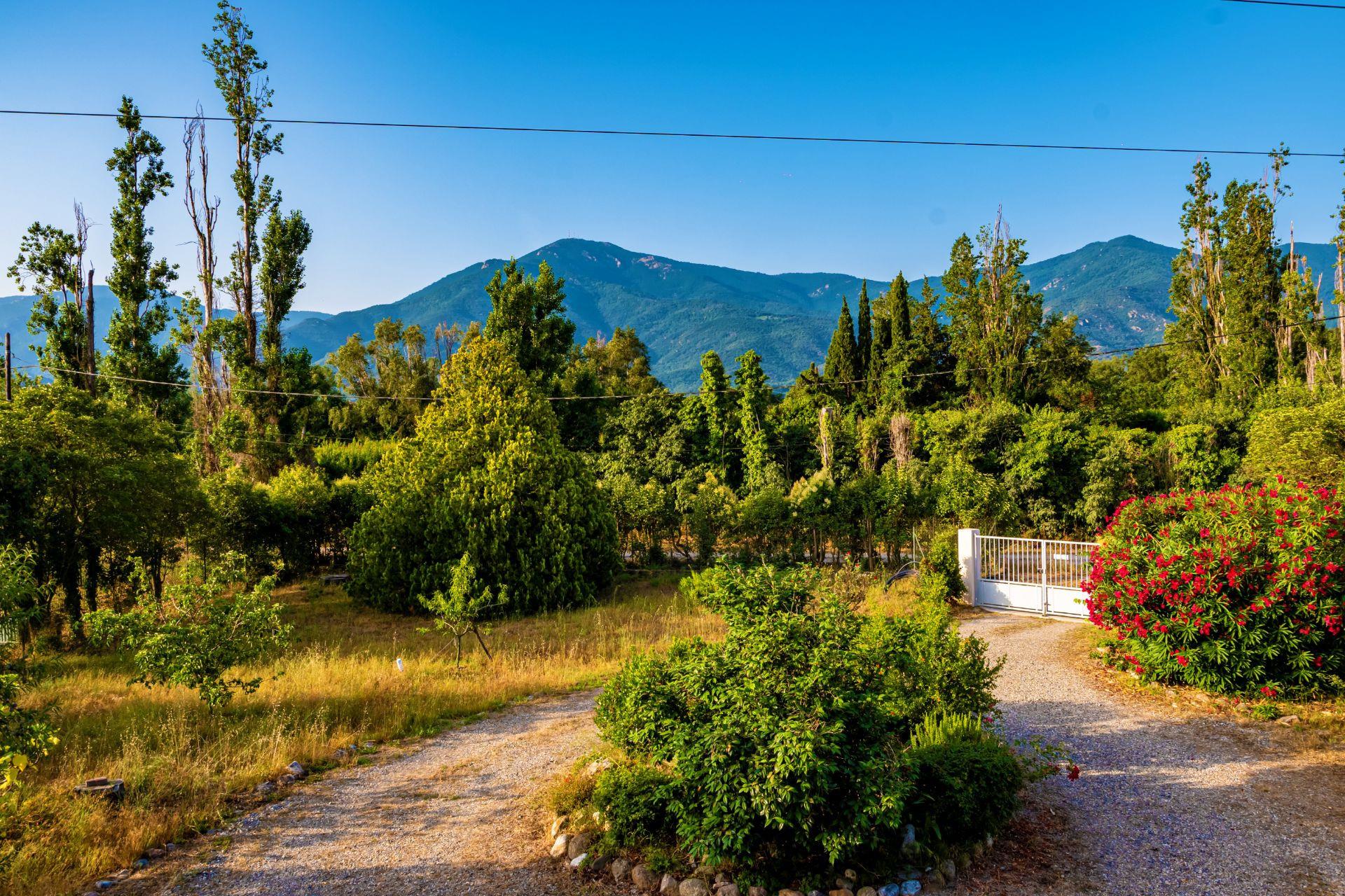 Maison à vendre, 173m², Laroque-des-Albères