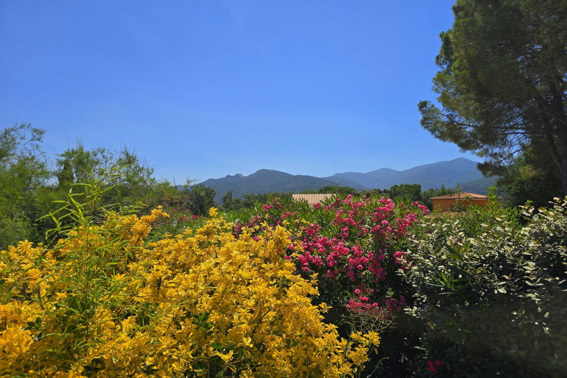 Maison à vendre, 117m², Laroque-des-Albères