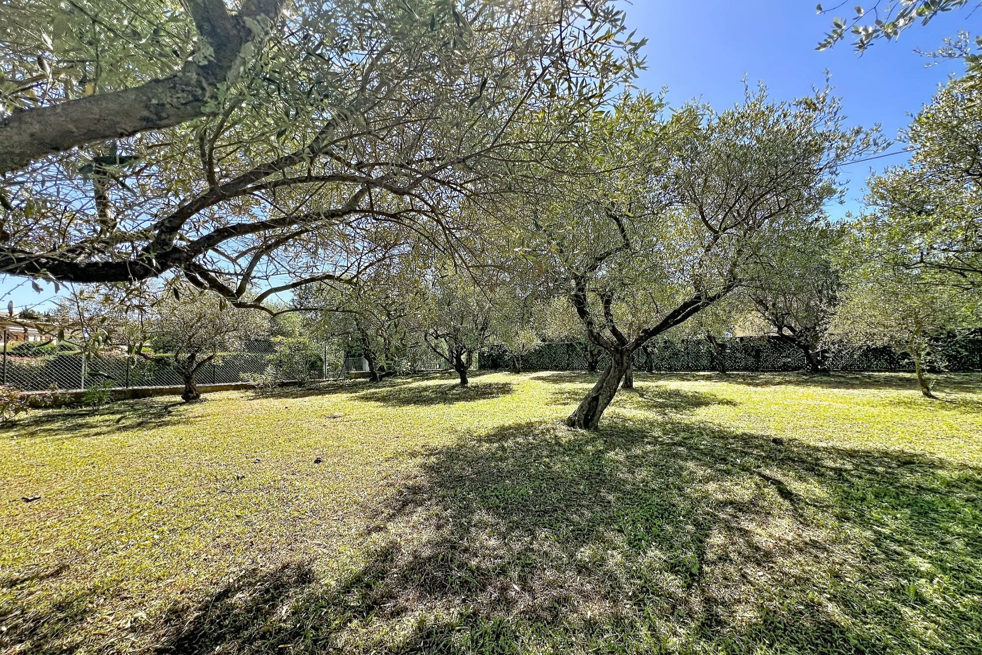 Maison à vendre, 165m², Grasse