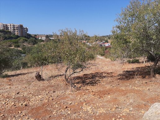 São Gonçalo de Lagos (Lagos)