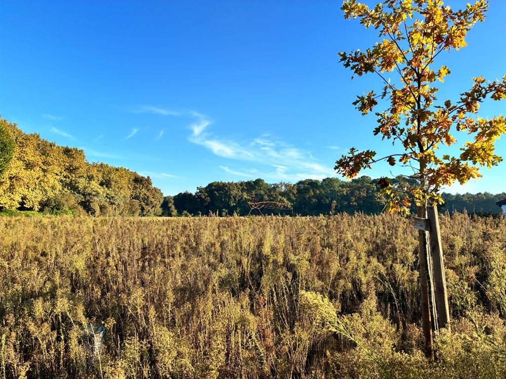 Beautiful buildable and serviced plot of 880 m², 7 km from the beach - Vue 2