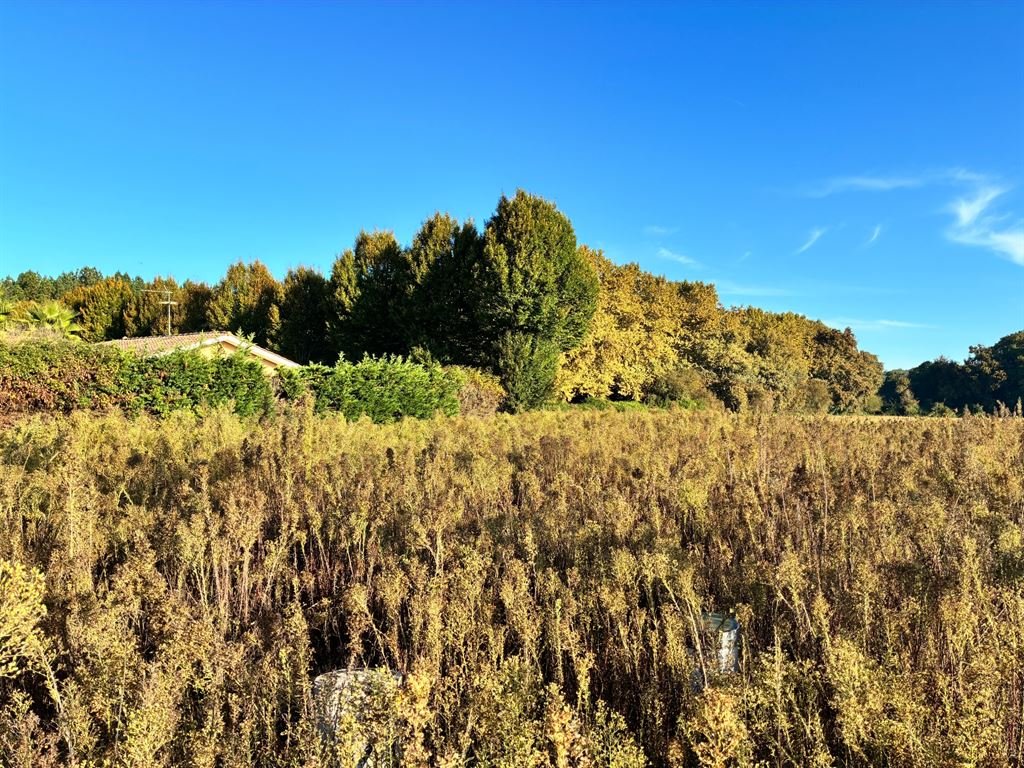 Beautiful buildable and serviced plot of 880 m², 7 km from the beach - Vue 3