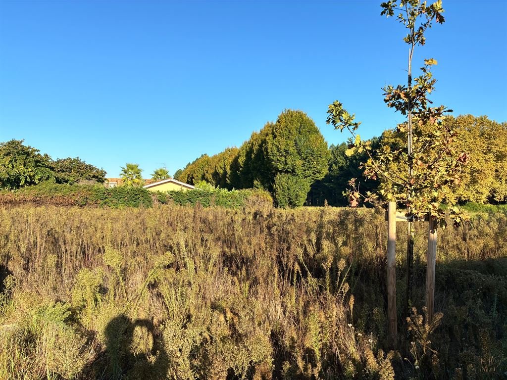 Beautiful buildable and serviced plot of 880 m², 7 km from the beach - Plus