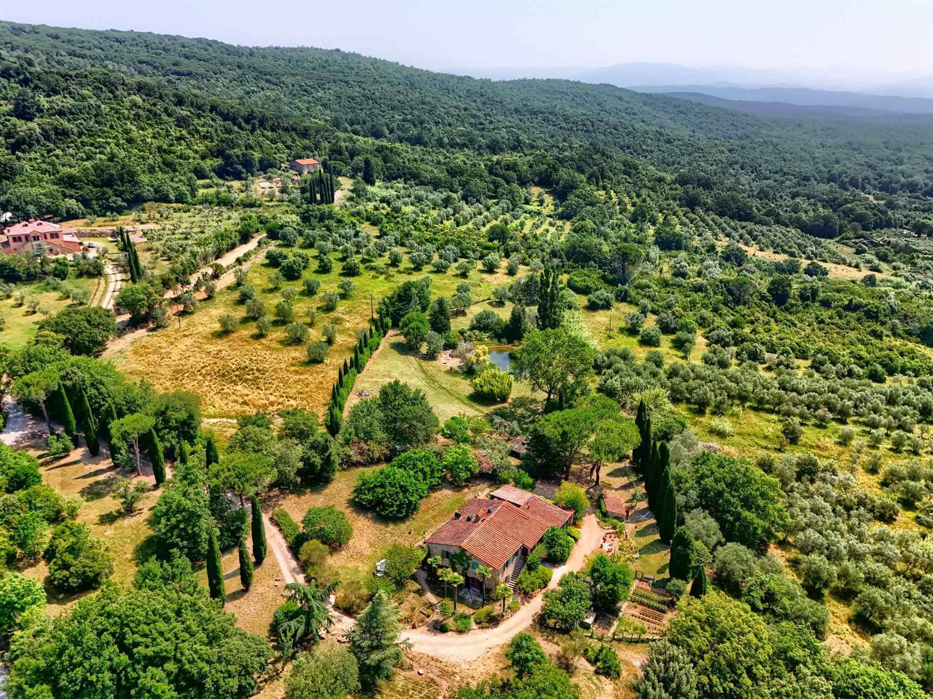 4 Bedrooms - Farmhouse - Tuscany - For Sale - A3165taa