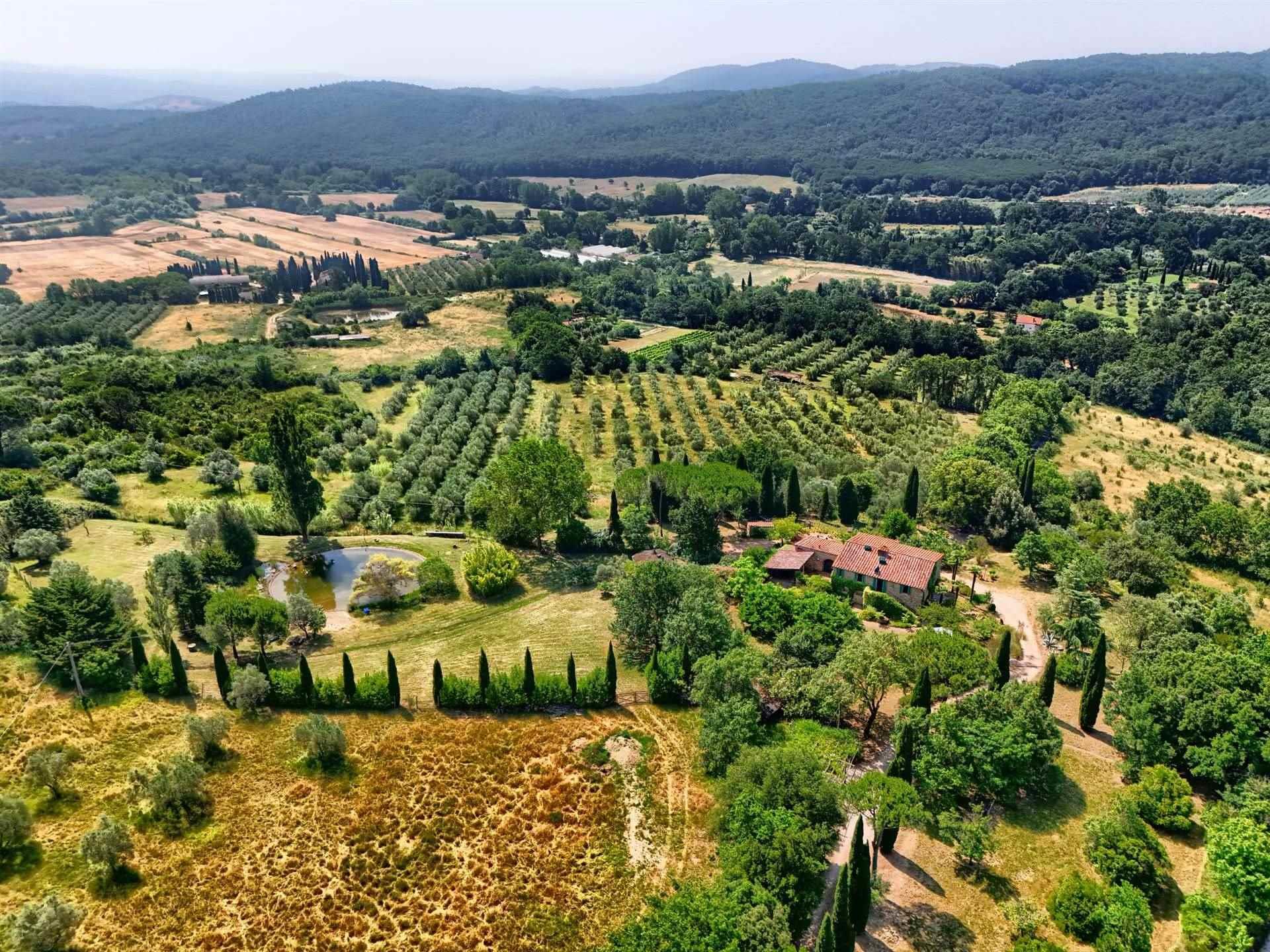 4 Bedrooms - Farmhouse - Tuscany - For Sale - A3165taa
