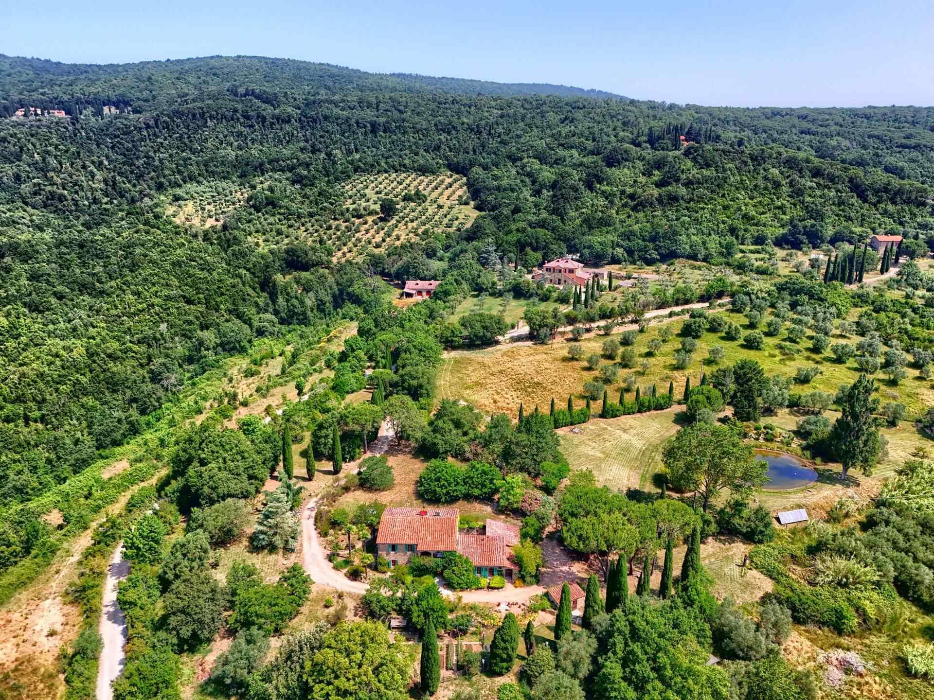 4 Bedrooms - Farmhouse - Tuscany - For Sale - A3165taa