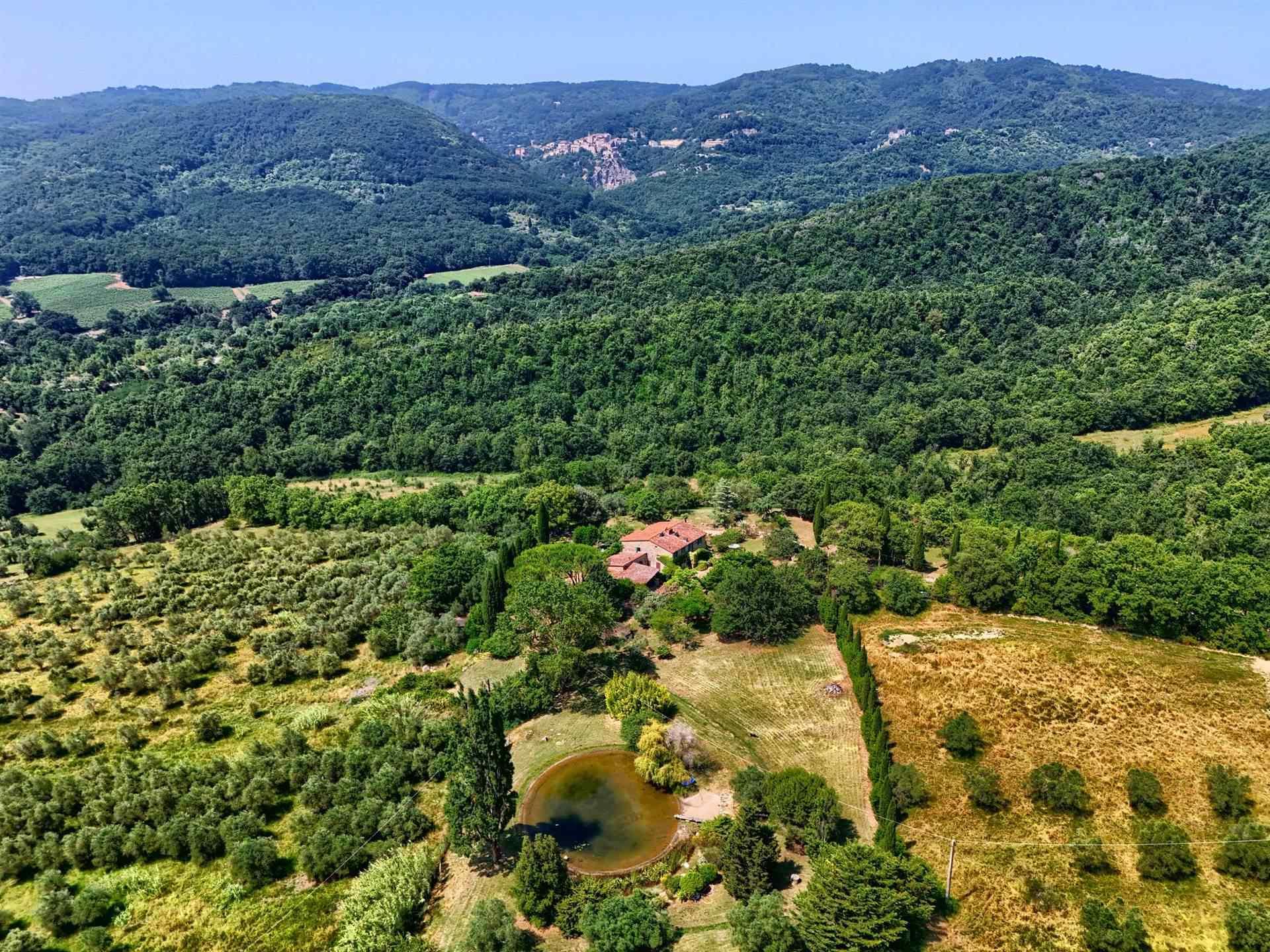 4 Bedrooms - Farmhouse - Tuscany - For Sale - A3165taa