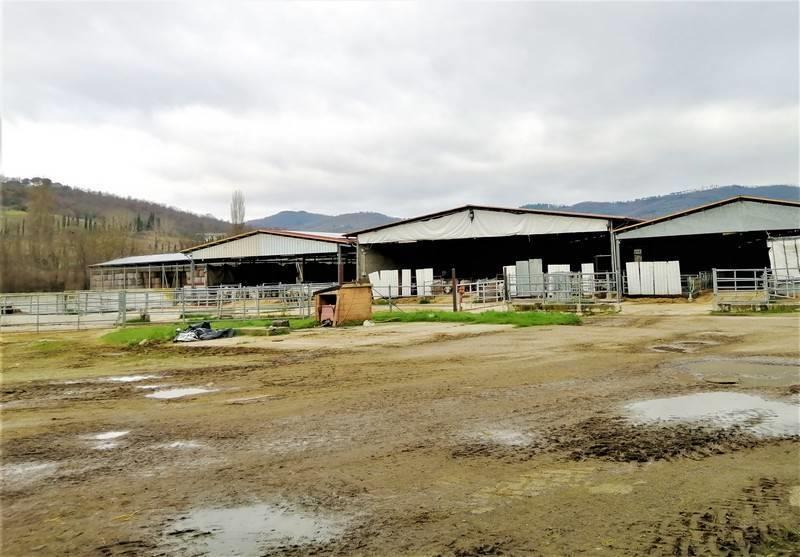 Land - Umbria - For Sale - A6380TAA