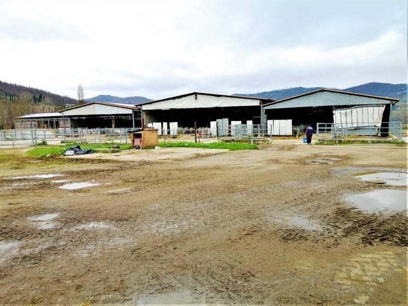 Land - Umbria - For Sale - A6380TAA