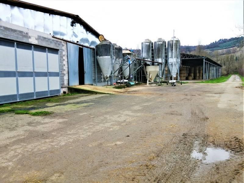 Land - Umbria - For Sale - A6380TAA