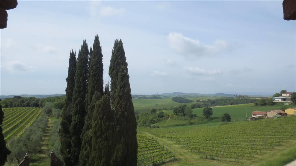 3 Bedrooms - Villa - Tuscany - For Sale - A6292RVA