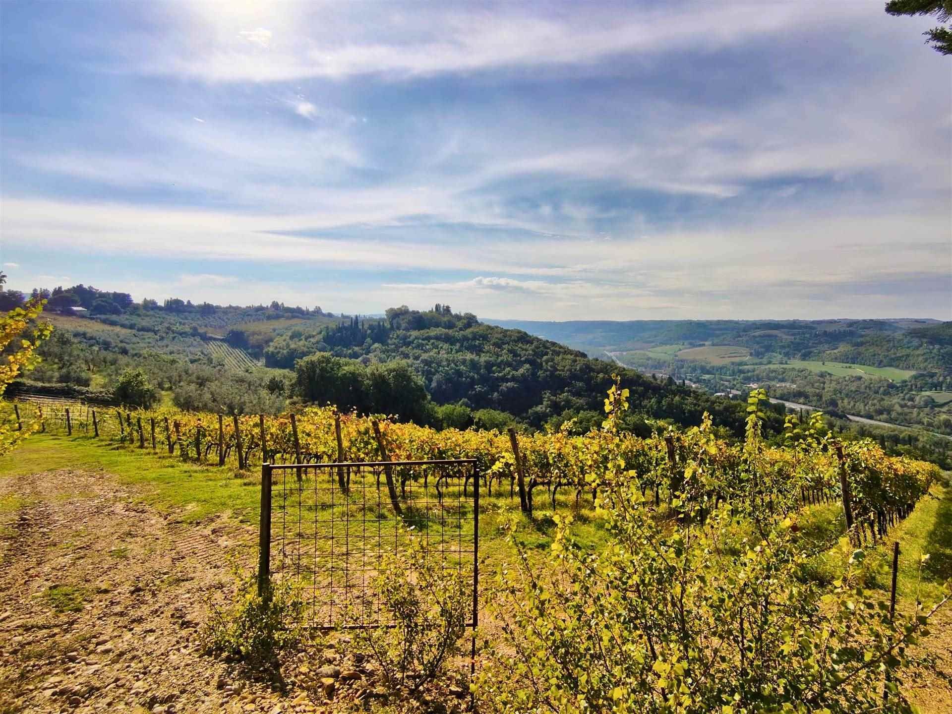 San Casciano in Val di Pesa (Firenze)