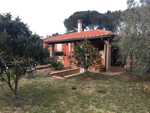 Scarlino (Grosseto) photo 3