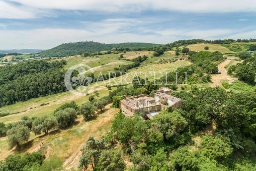 Torrita di Siena (Siena) photo 2