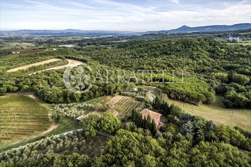 Montepulciano (Siena) photo 3