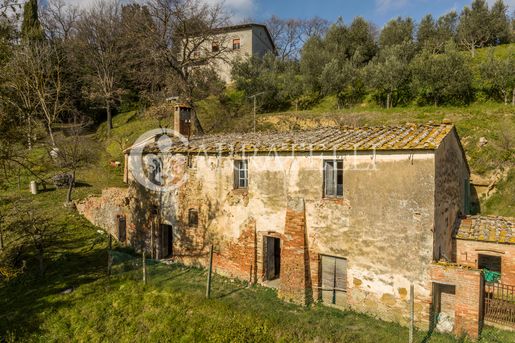 Montepulciano (Siena)