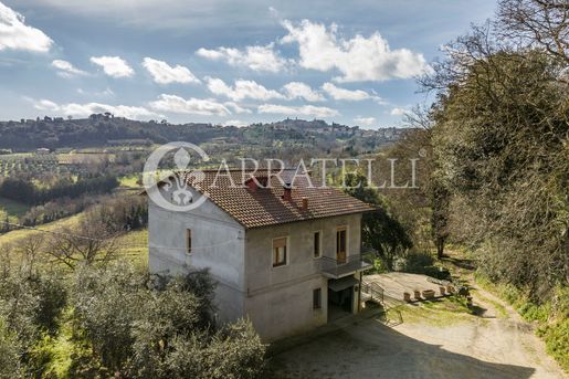 Montepulciano (Siena) photo 3