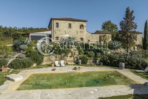 Rapolano Terme (Siena) photo 2