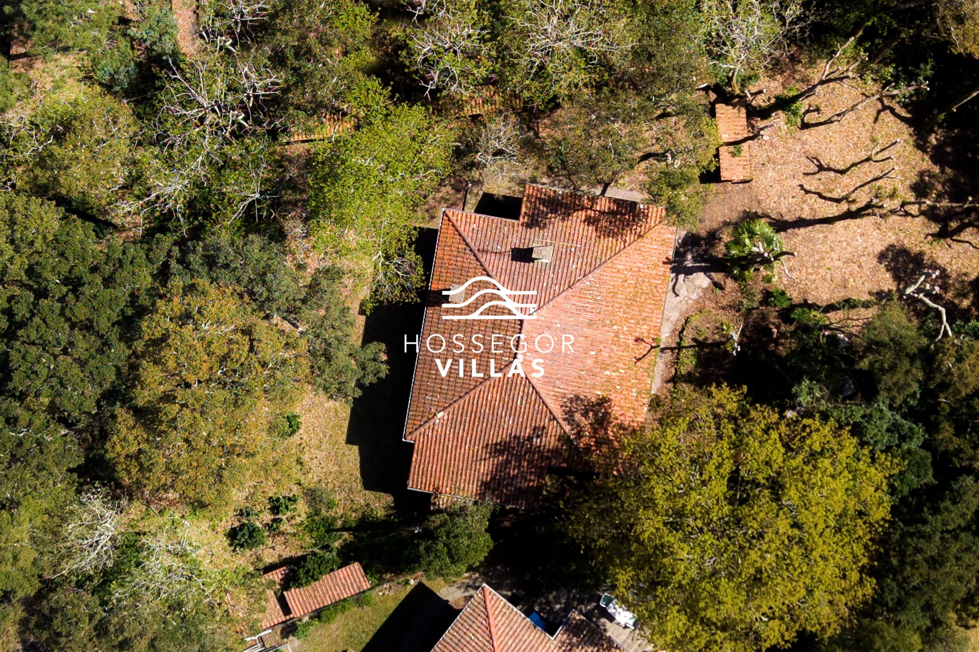 Maison à vendre, 210m², Soorts-Hossegor