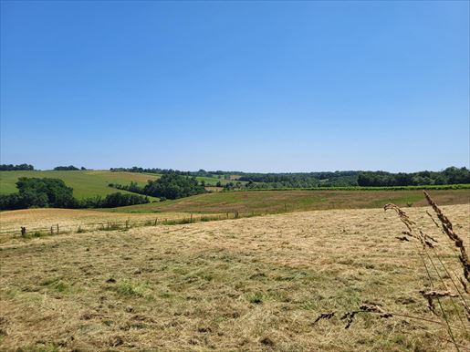 Courrensan (Gers) photo 3