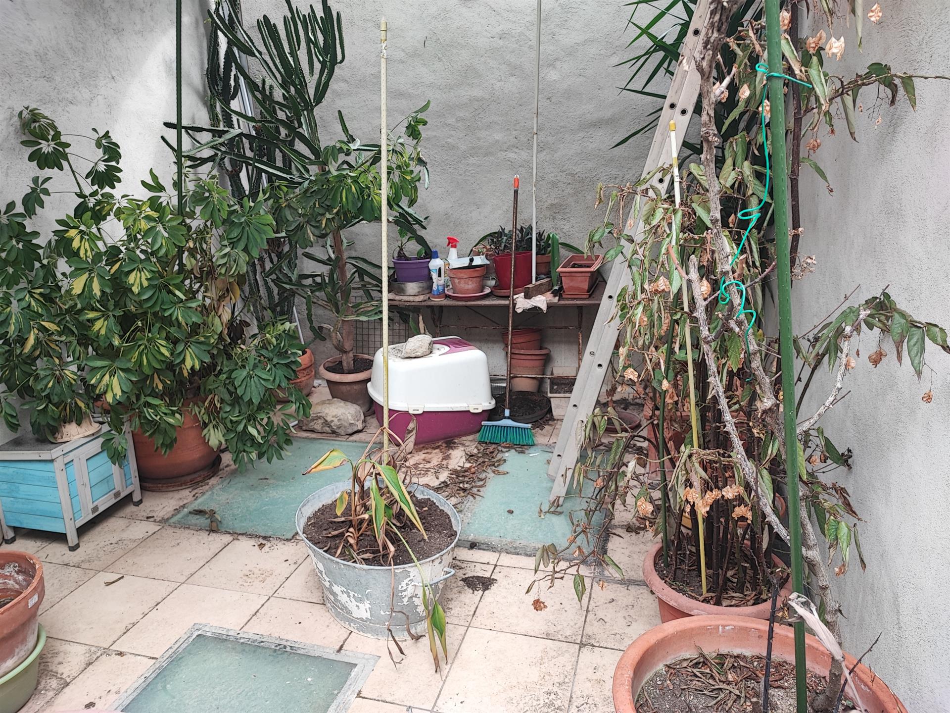 Maison à vendre, 94m², Cesseras