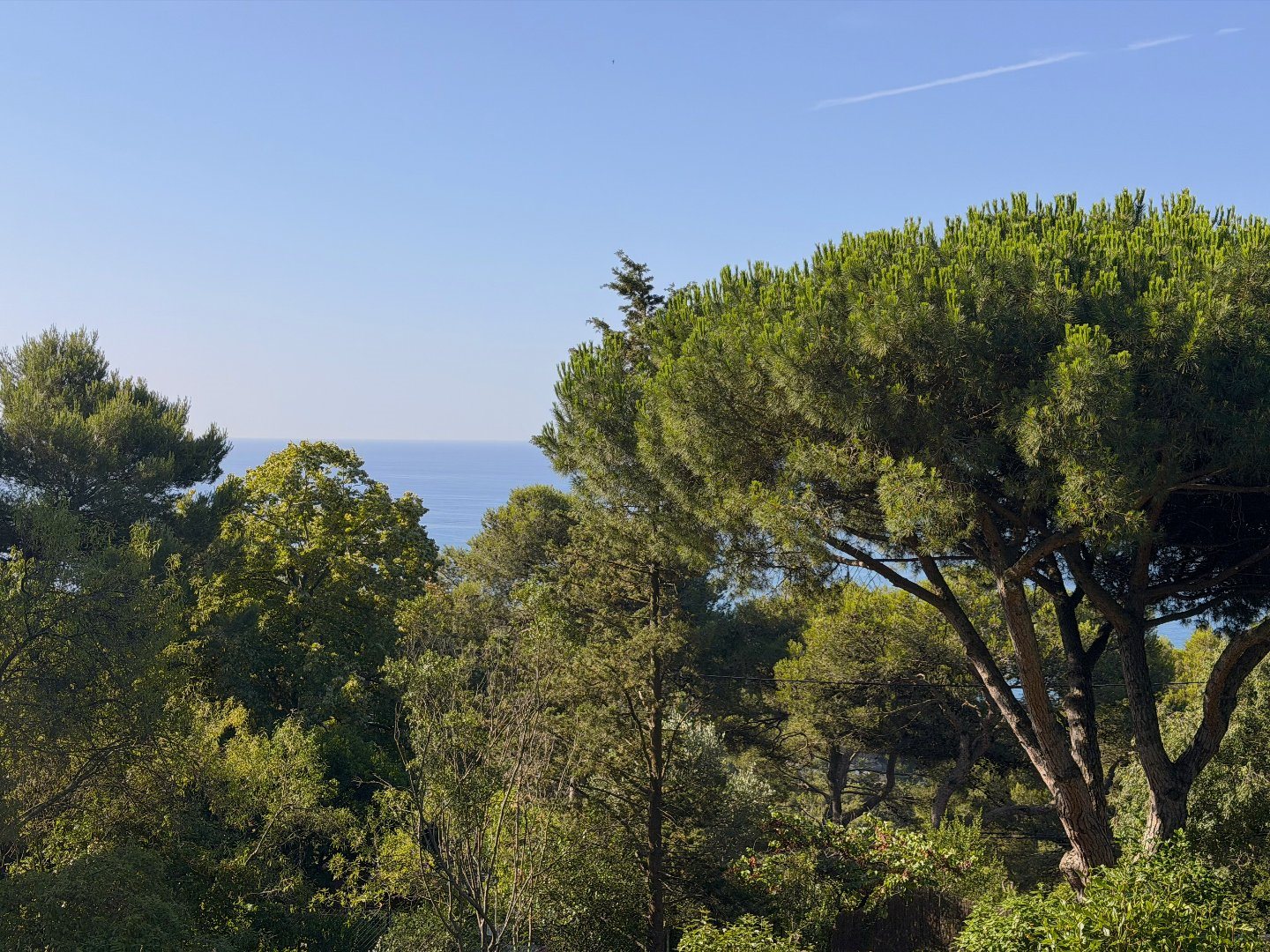 Terreno, 925 m²