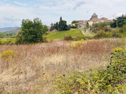 7 €/m² · à Magrie · 75 000 €